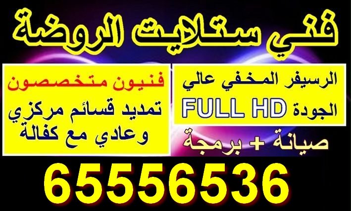 فني ستلايت الروضة